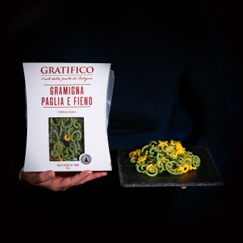 Gramigna pasta "straw and hay" - 250g Gratifico - 1 Gramigna pasta "straw and hay" - 250g Gratifico - 1