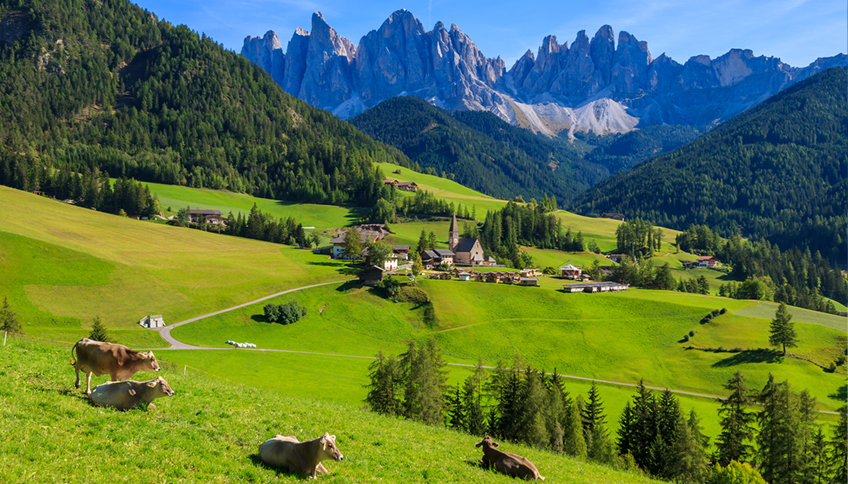 Alpeggio Trentino Alto Adige