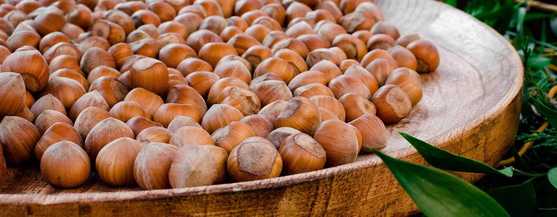 Round, delicate and delicious: PGI Piedmont hazelnut from the Langhe area
