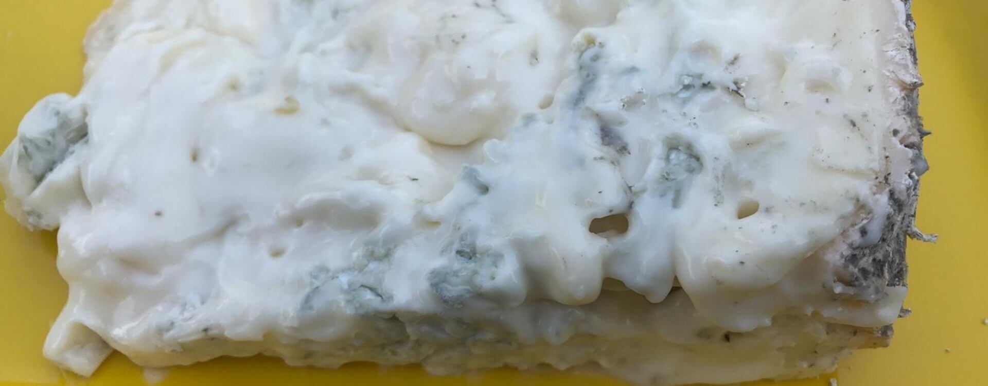 Gorgonzola: everything about the most famous cheese from Lombardy