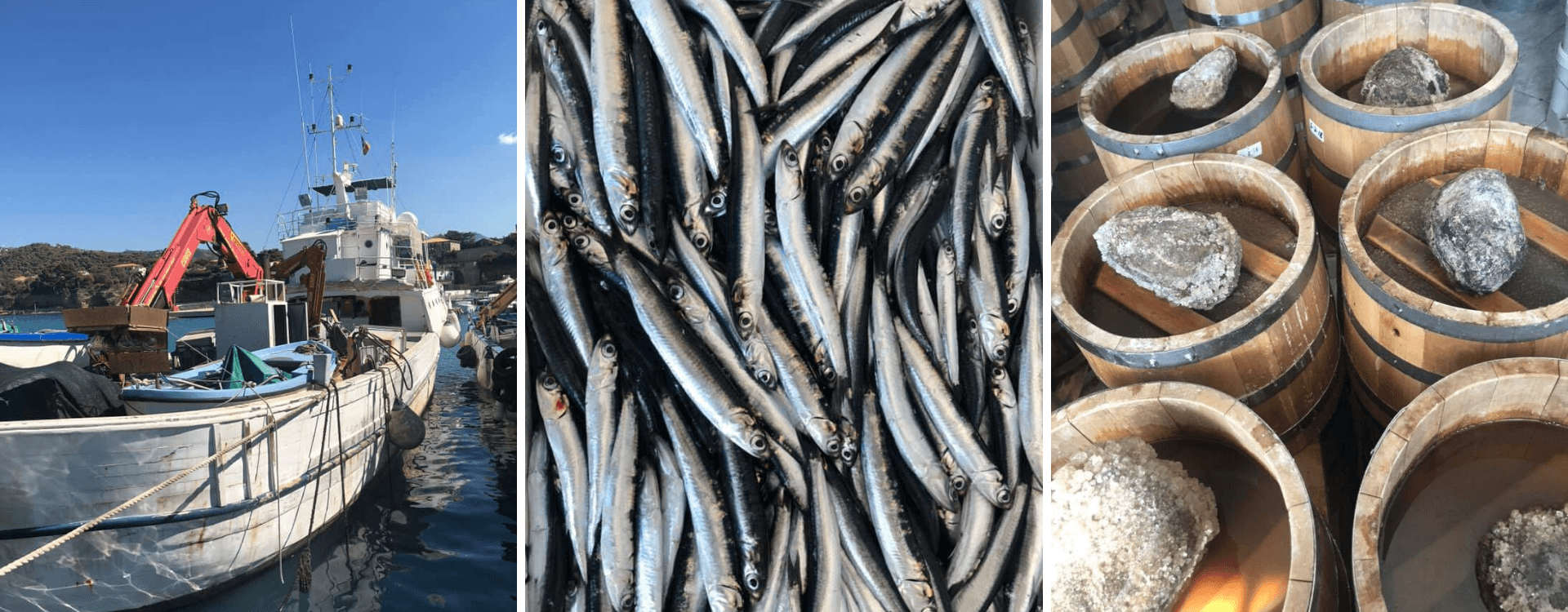 ANCHOVIES FROM CETARA: ONE-OF-A-KIND FLAVOUR AND TRADITION