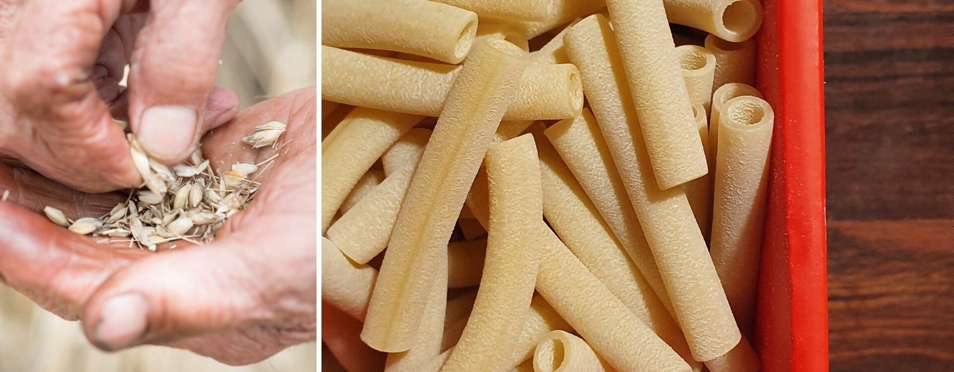 THE BEST SPECIALTY FOOD OF CAMPANIA: PASTA FROM GRAGNANO
