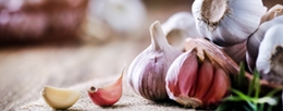 Garlic, Aglione garlic and black garlic: kiss-proof delicacies