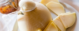 Provola, Provolone and Mozzarella: different varieties of pasta-filata cheeses