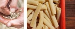 THE BEST SPECIALTY FOOD OF CAMPANIA: PASTA FROM GRAGNANO