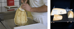 Provolone del Monaco Käse: Milch, Tradition und Handwerk