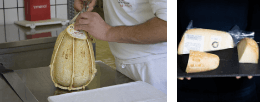 Provolone del Monaco cheese: milk, tradition and craft